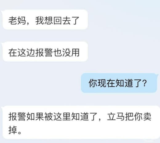 2023年7月23日晚，代秋再次收到儿子王楷的求救信息：“妈妈，我快要...